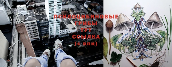 jwh Богданович
