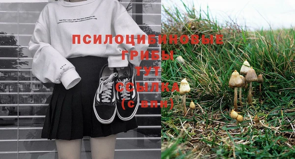 трава Богородицк