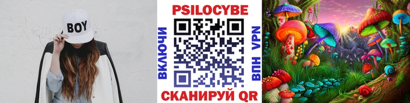 Галлюциногенные грибы мухоморы  KRAKEN   Славгород 