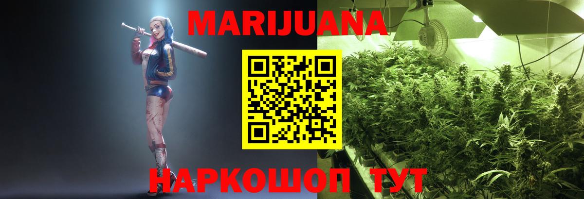 Конопля AK-47 Славгород